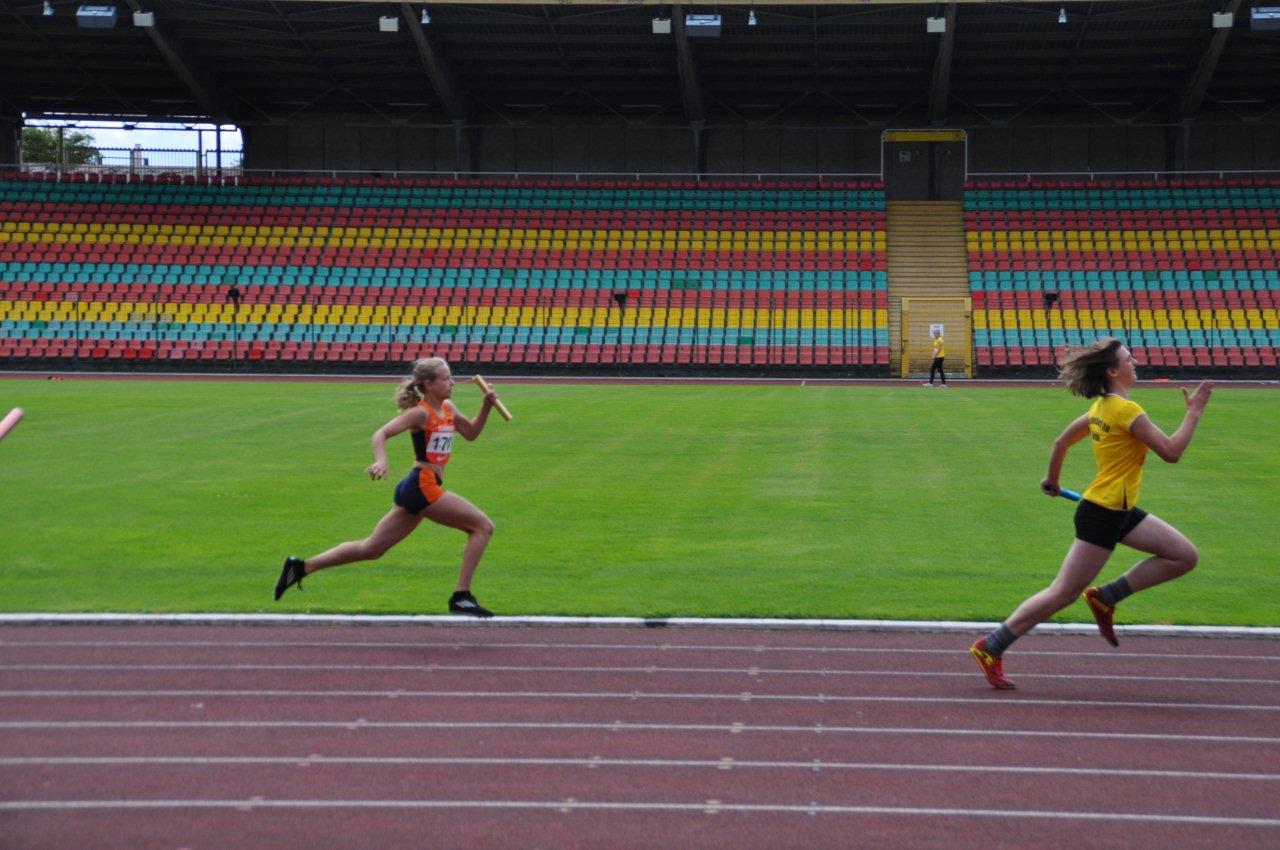 Tari Holz