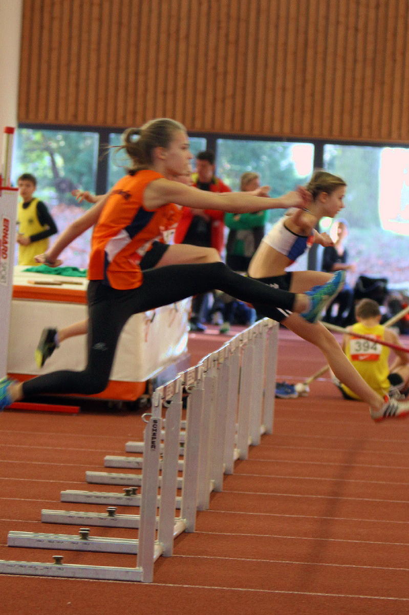 Hürdenlauf