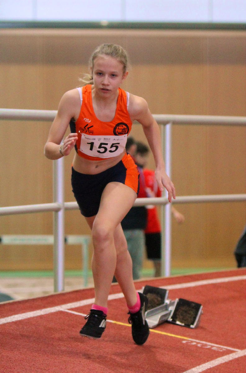 Tari Holz