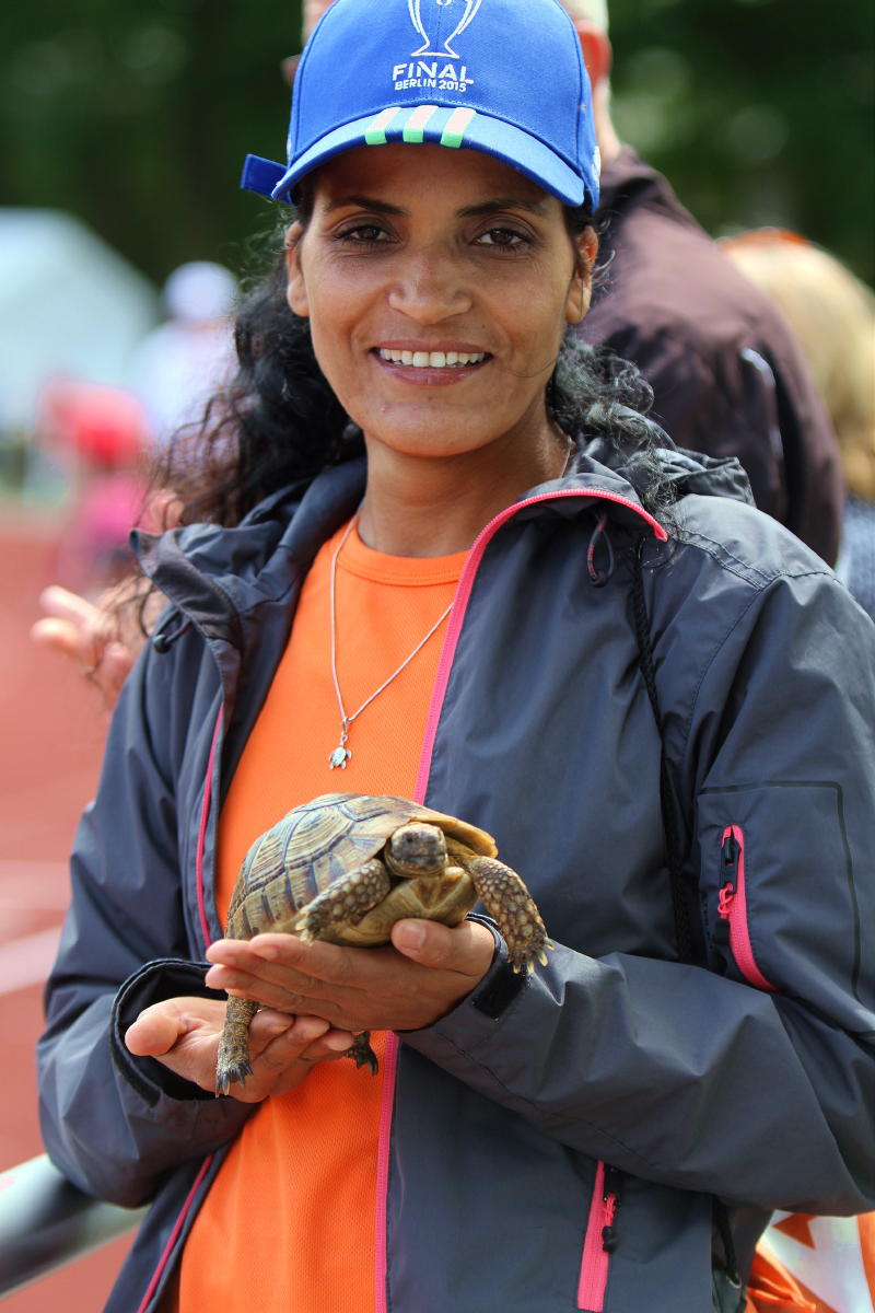 Schildkröte Mucki