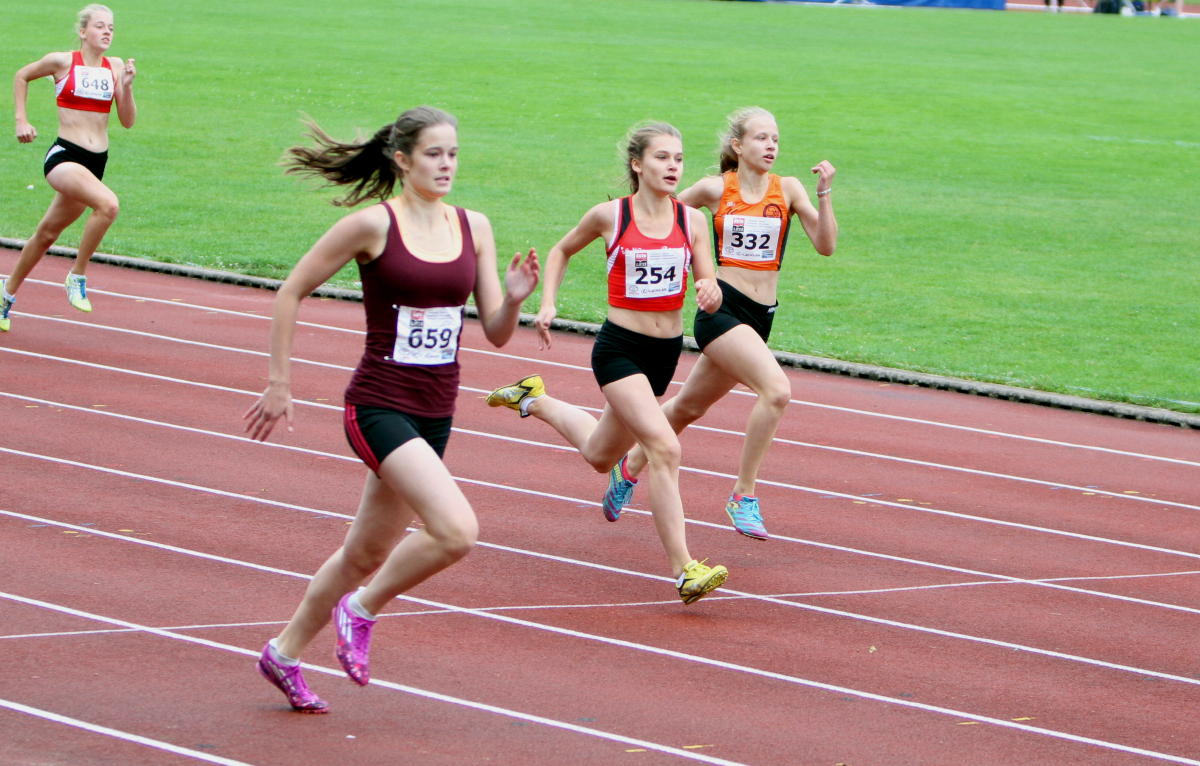 300 m Tari Holz