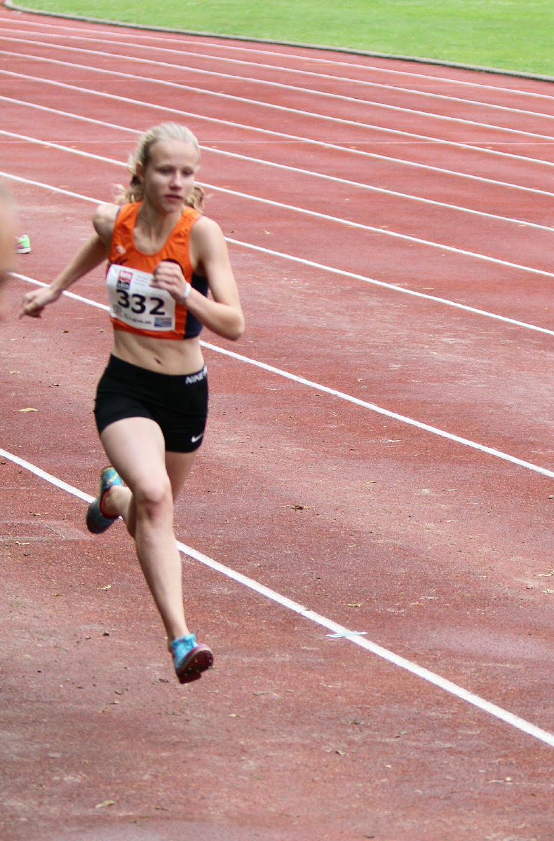 Tari Holz