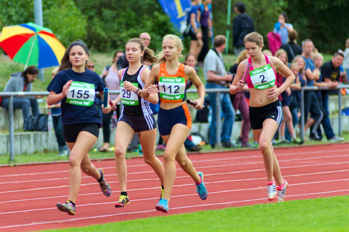 Tari Holz