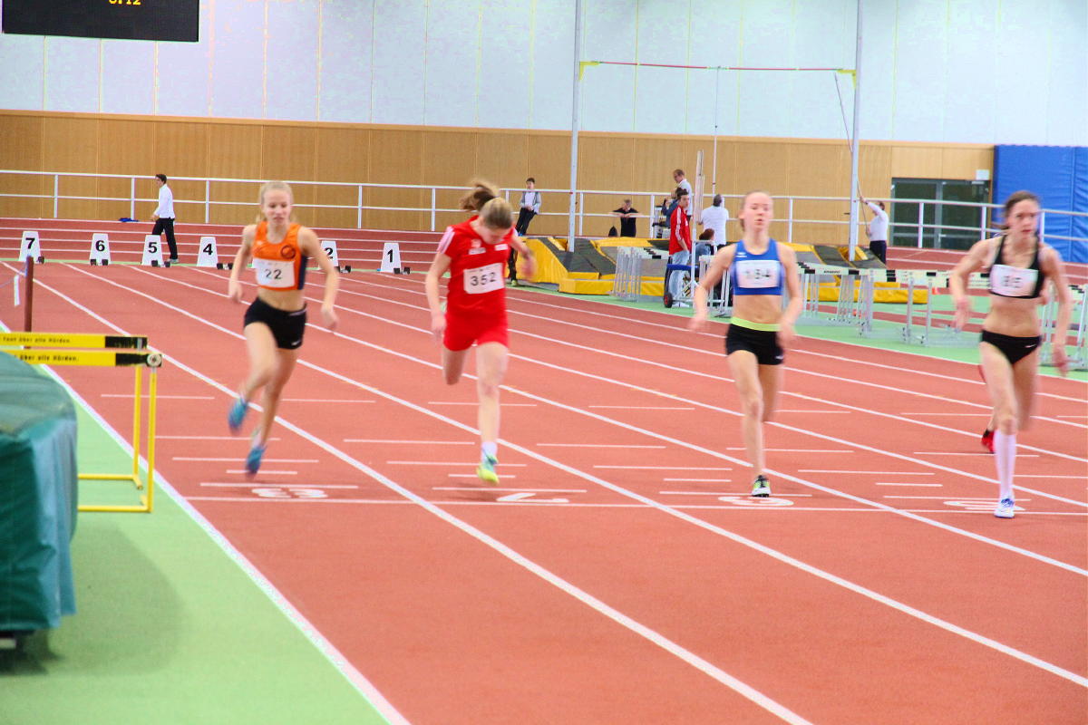 Tari Holz