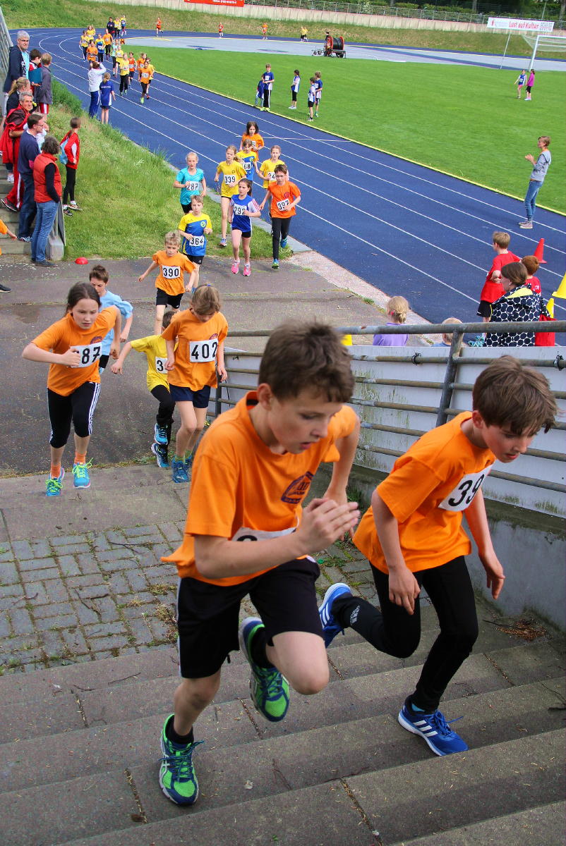 Bild 19