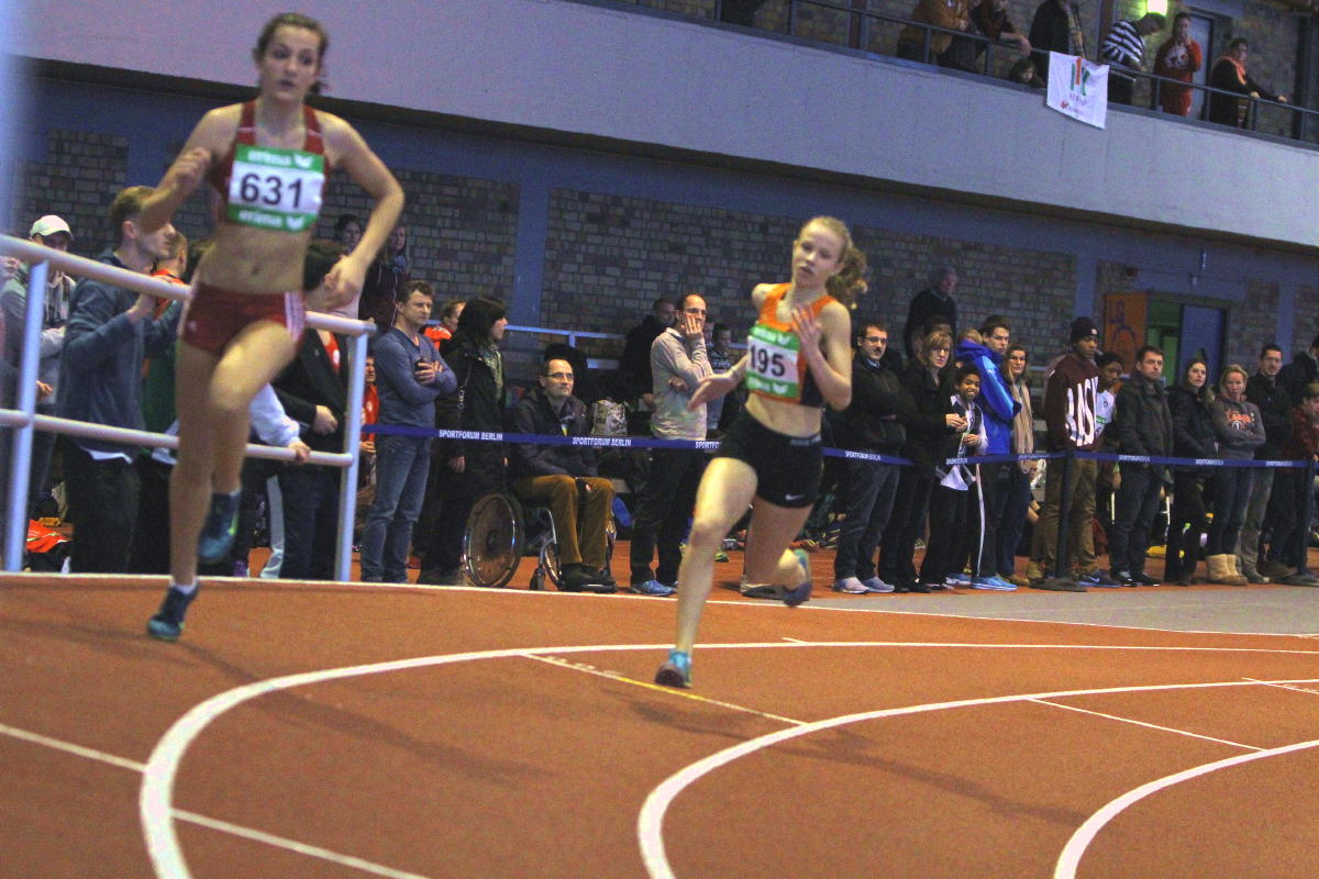 Tari Holz
