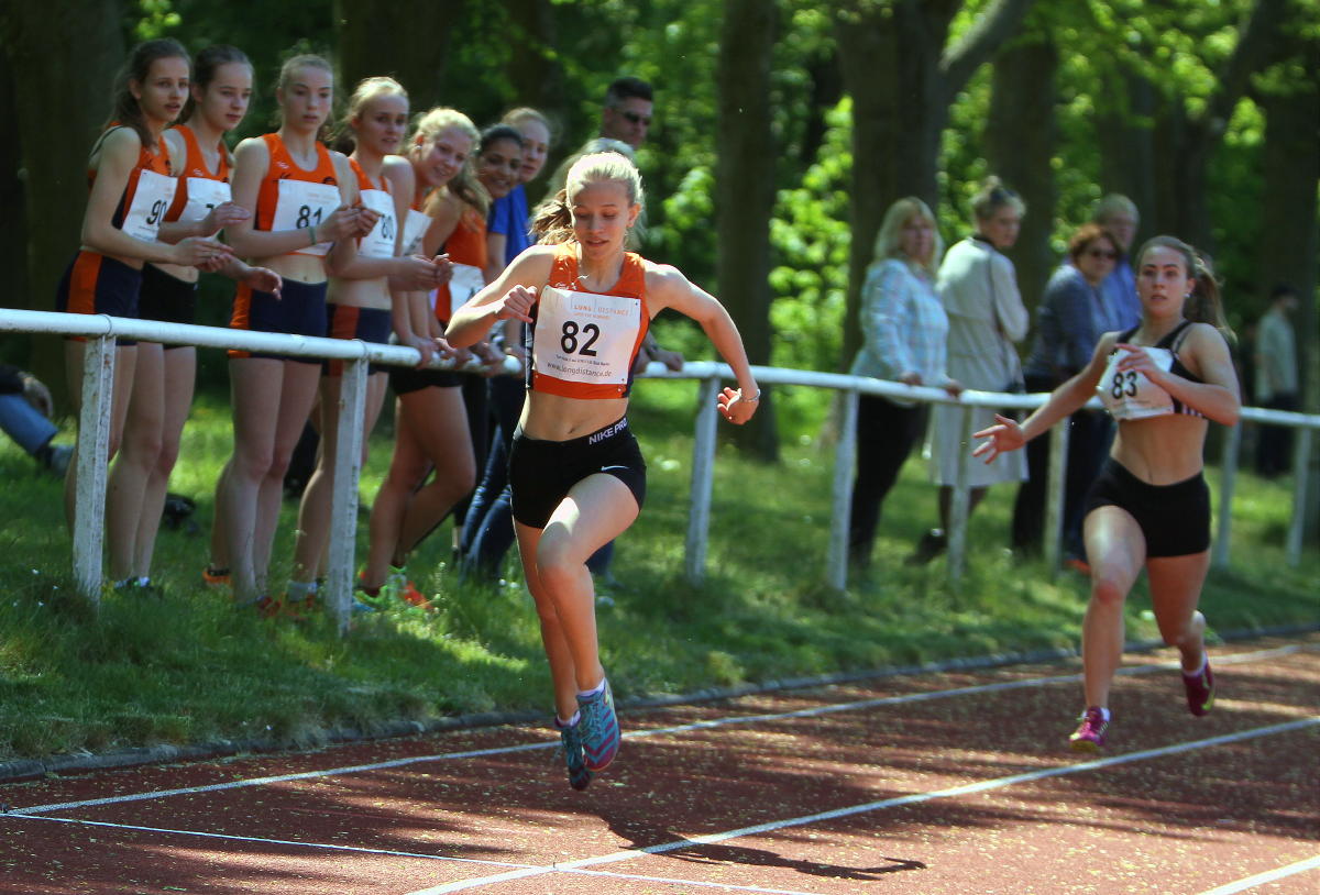 Tari Holz