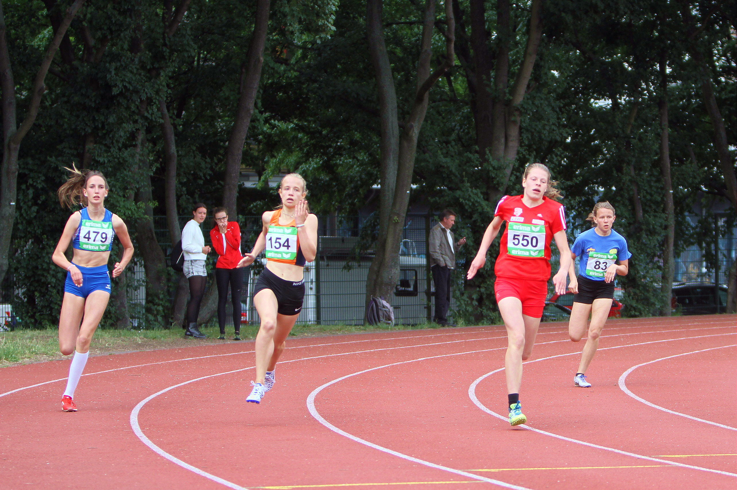 Tari Holz