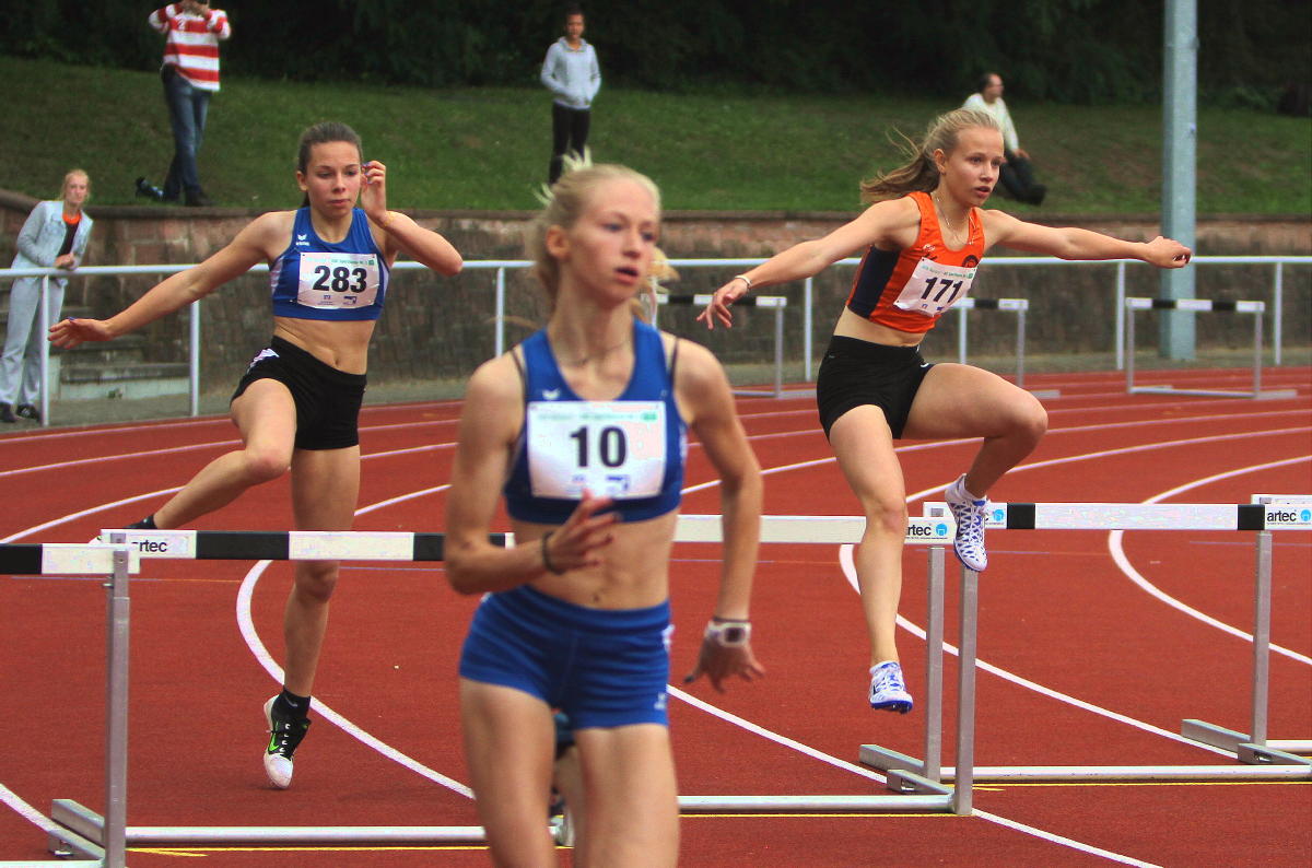 Tari Holz