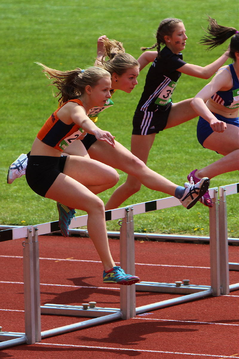 Tari Holz