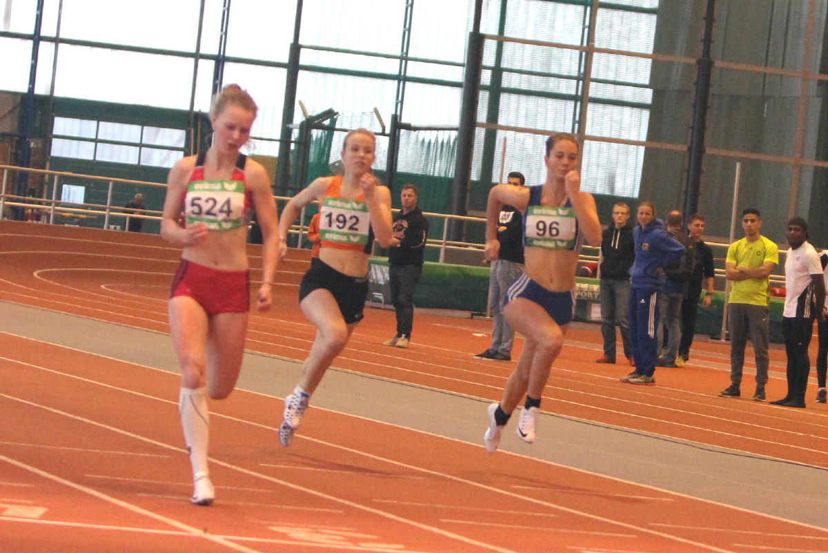 Tari Holz