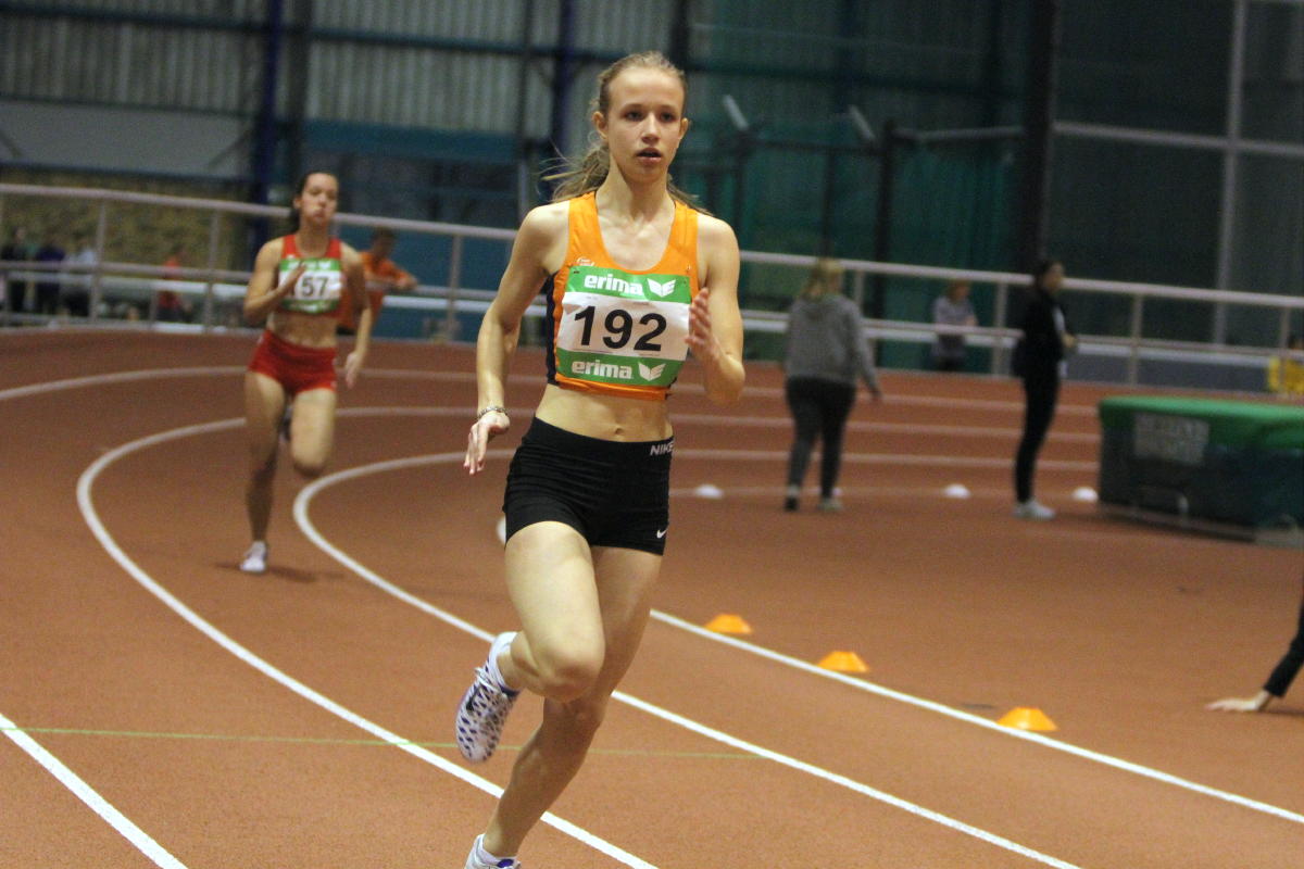 Tari Holz