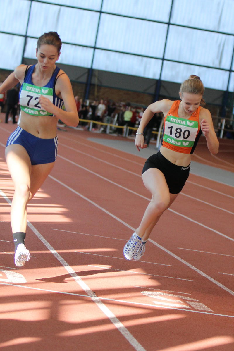 Tari Holz