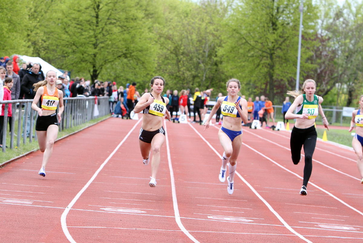 Tari Holz