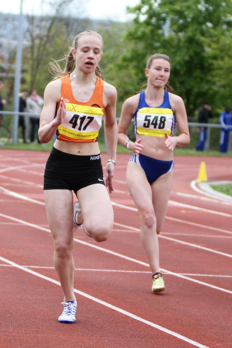 Tari Holz