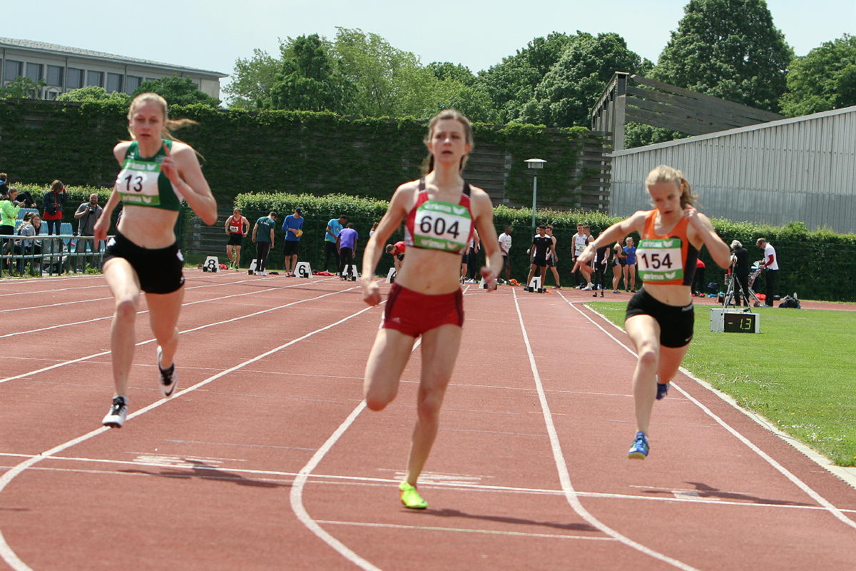 Tari Holz