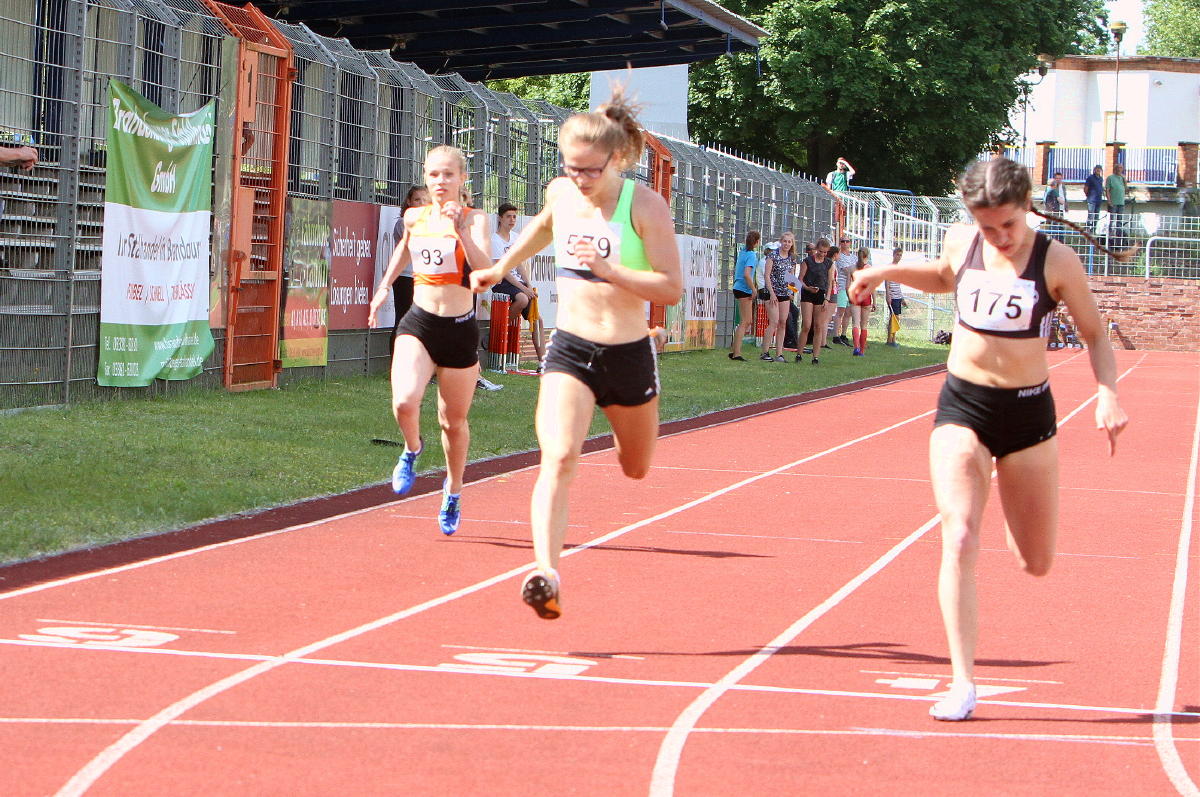 Tari Holz