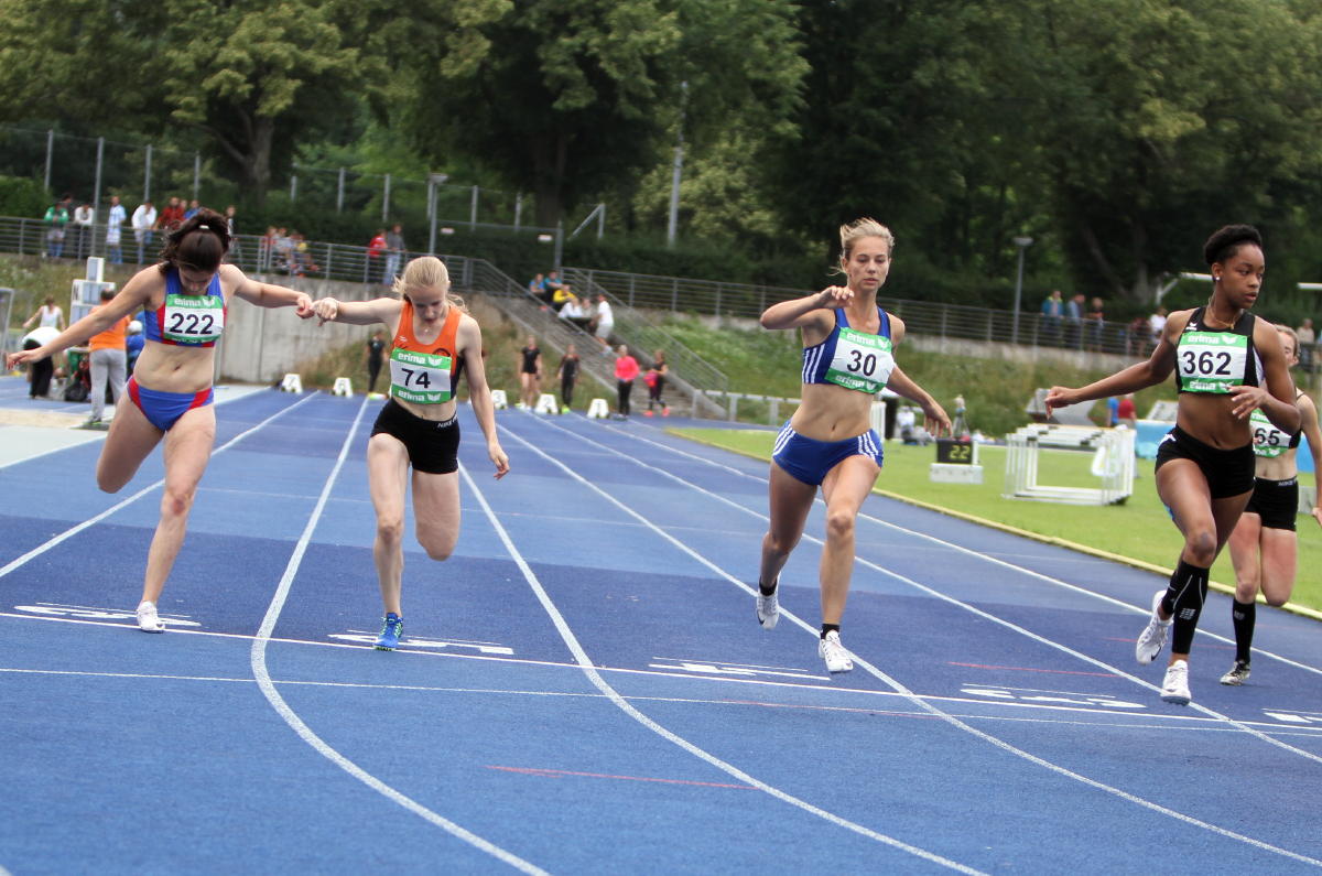 Tari Holz