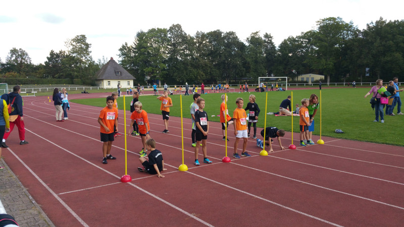 Vorbereitung 50m Sprint