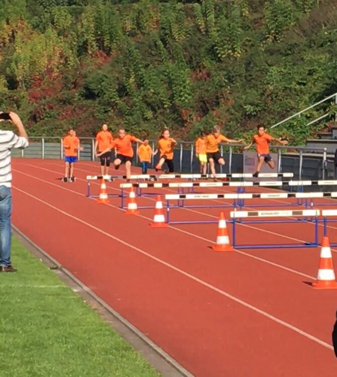 Hürdensprint