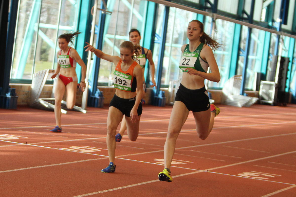 Tari Holz