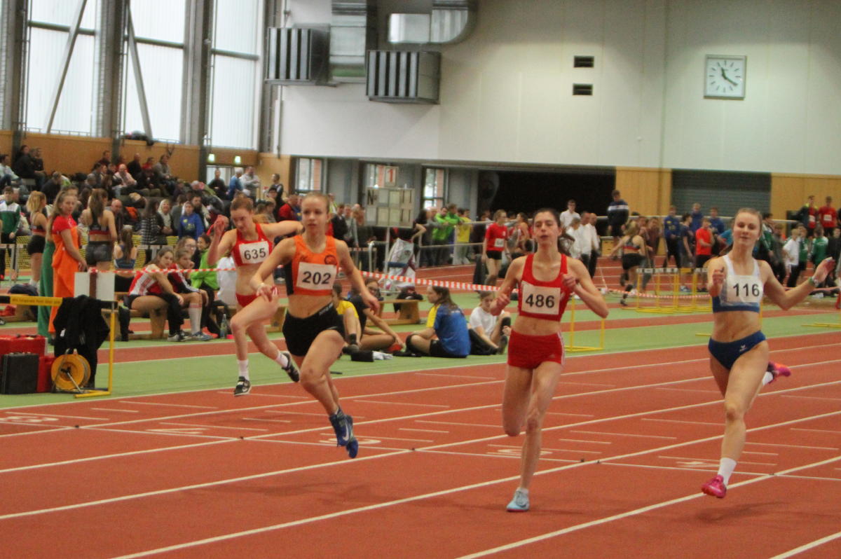 Tari Holz