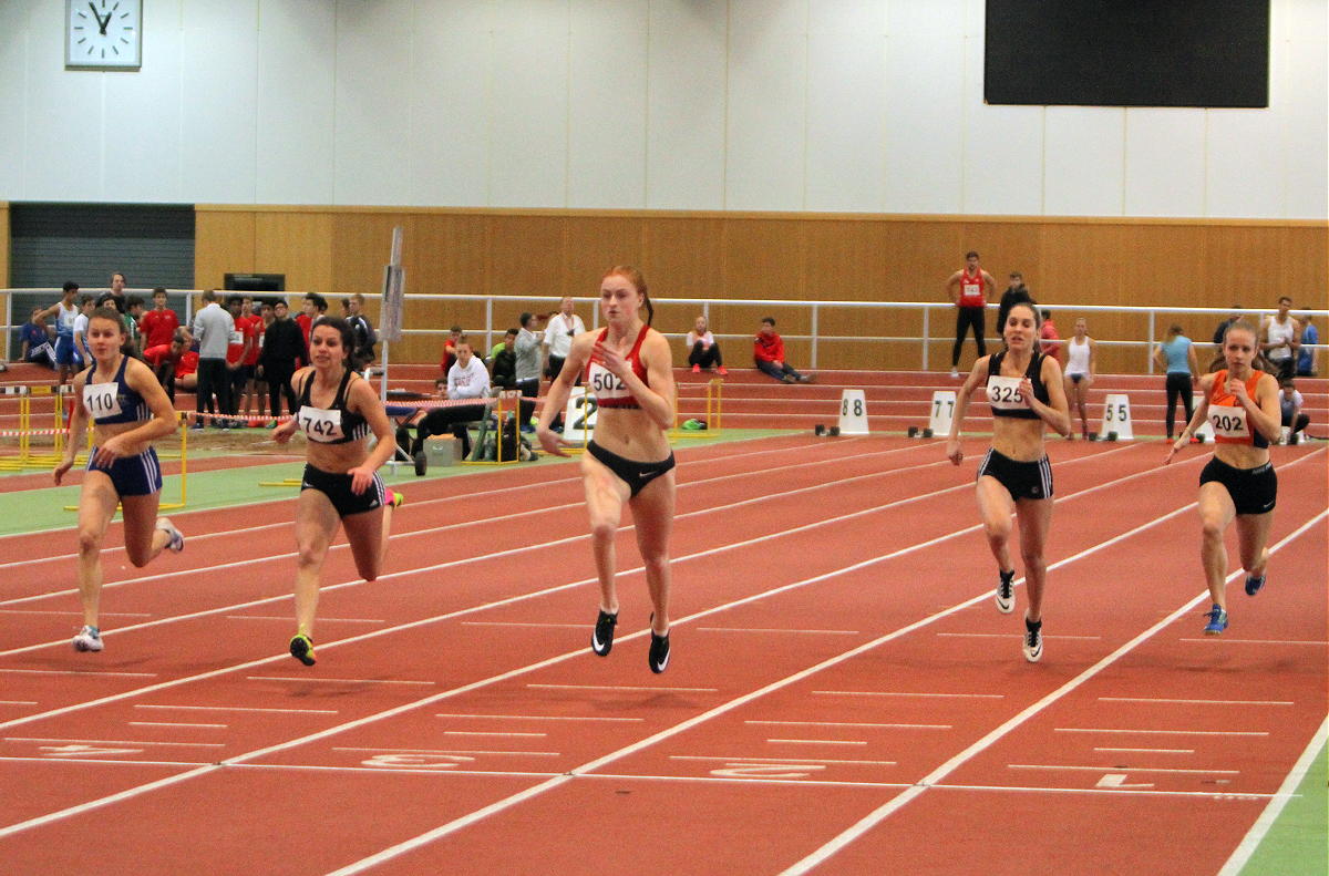 Tari Holz