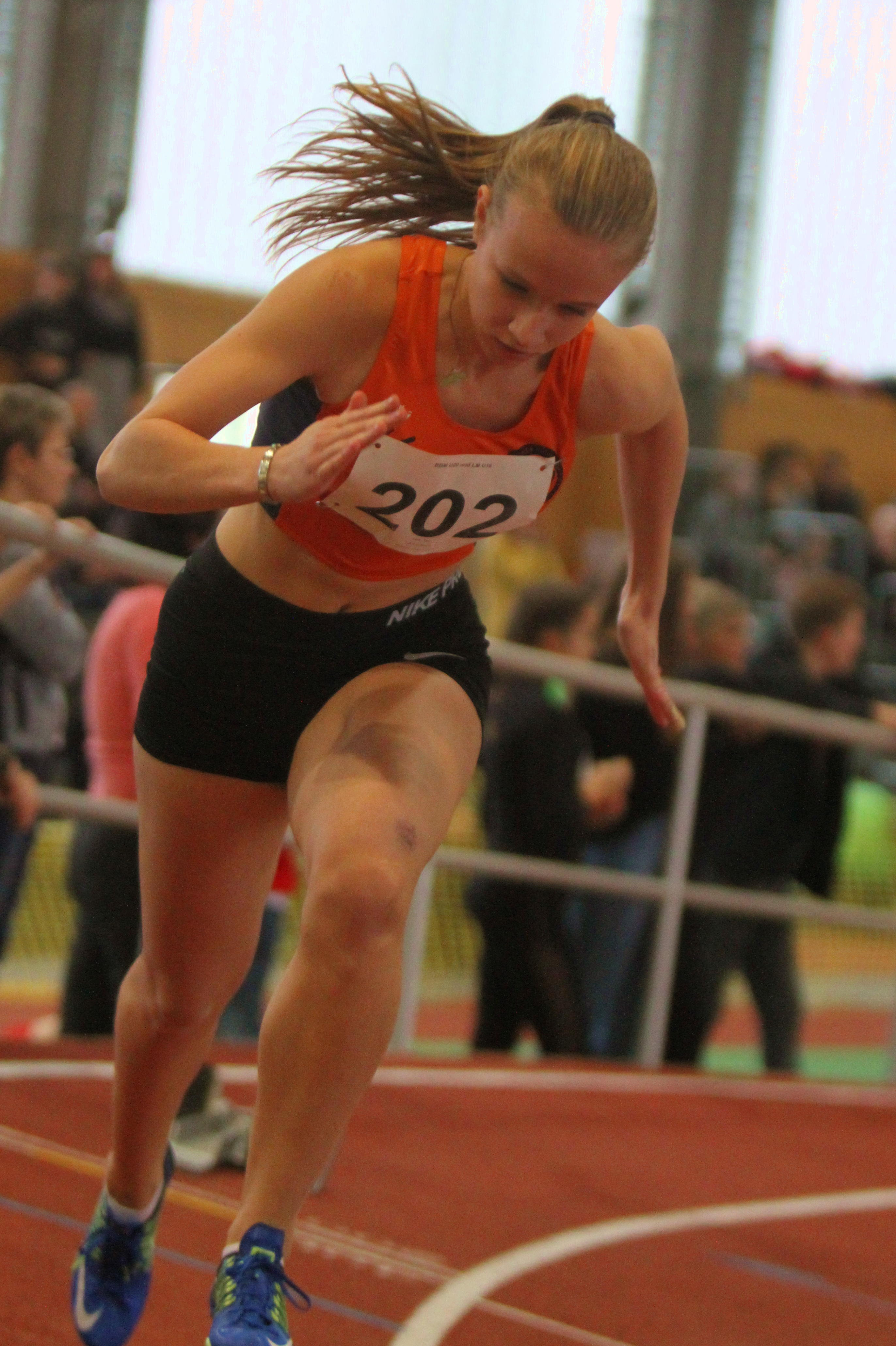 Tari Holz