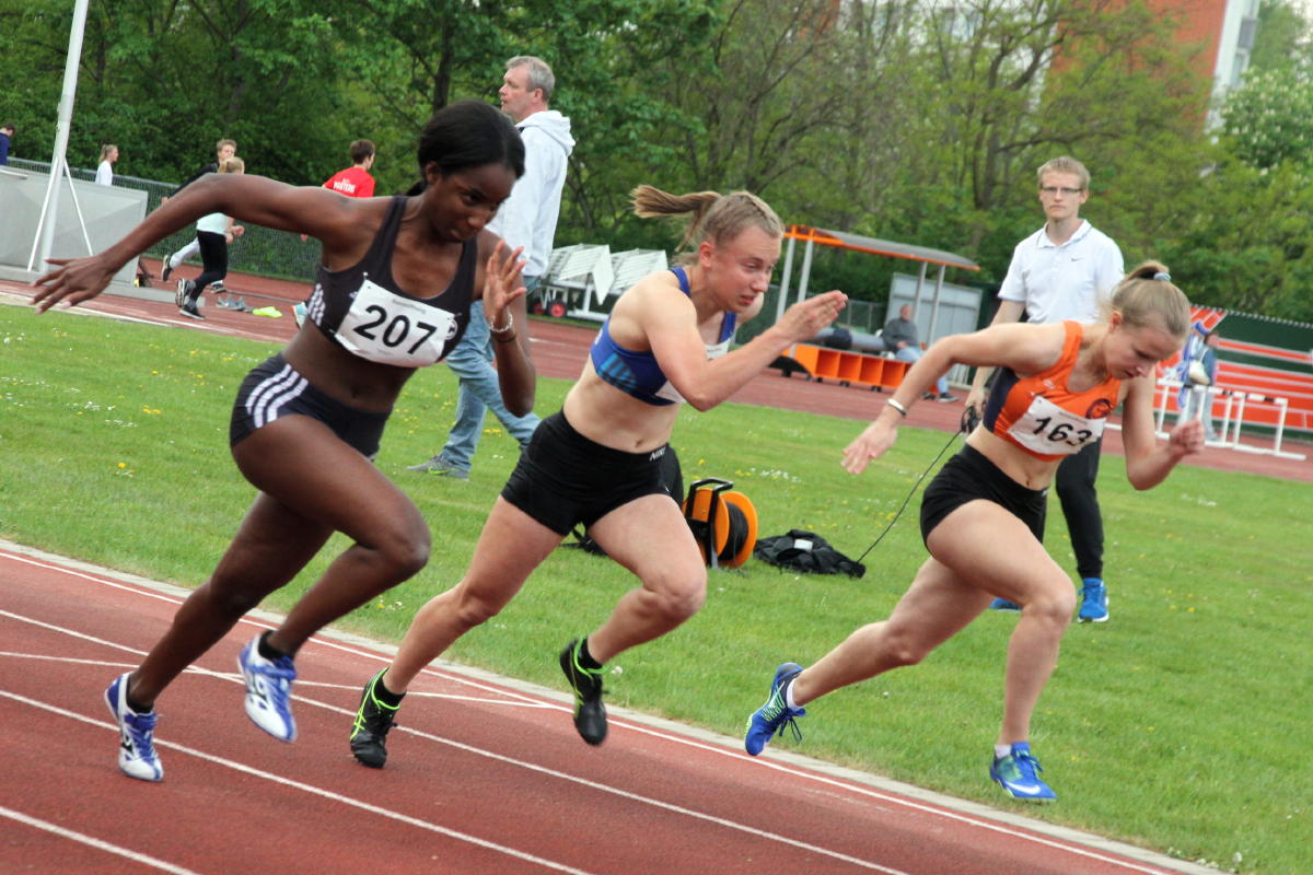 Tari Holz