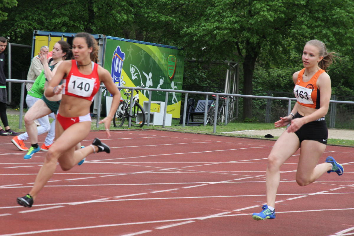 Tari Holz