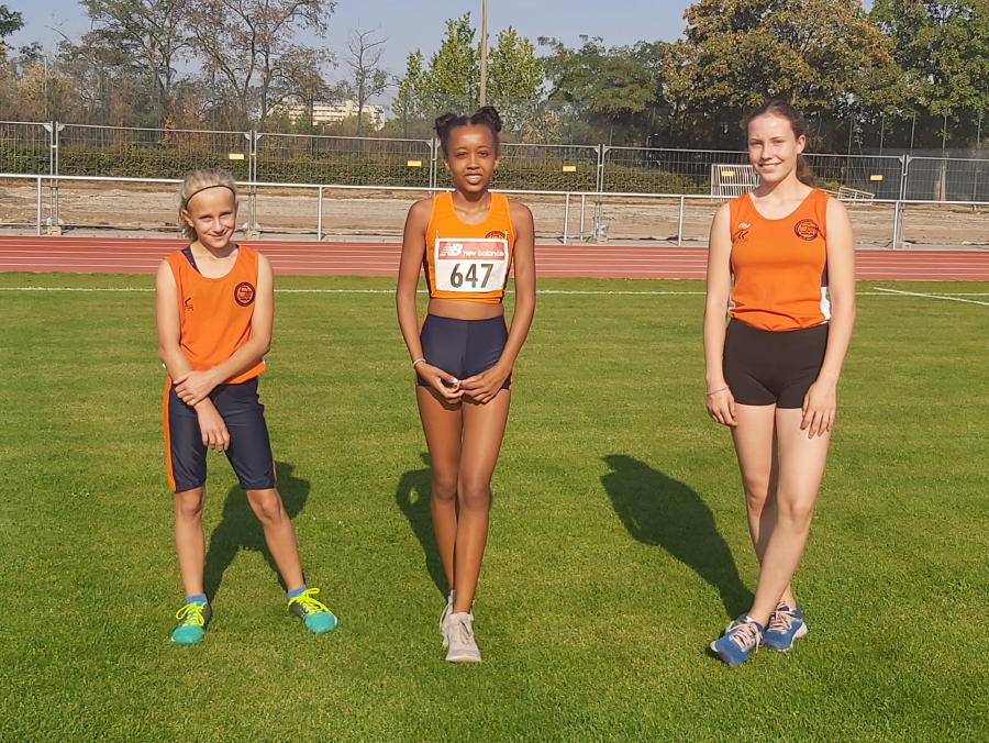 Hampel, Bendig, Gothe