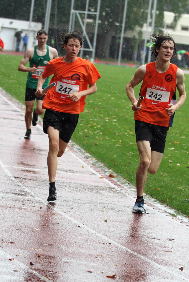 Gies - Geltner